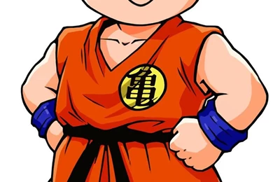 Image Space Beauty: Dragon Ball: Krillin   Picture