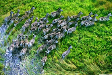 Retina Display Wallpapers » Great Wallpapers HD