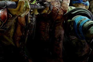 Download Wallpapers 1080x1920 Teenage Mutant Ninja Turtles, Raphael ...