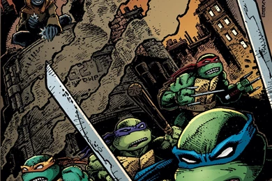 Teenage Mutant Ninja Turtles (TMNT) Cover Full HD Backgrounds Image ...