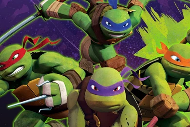 TEENAGE MUTANT NINJA TURTLES Action Adventure Comedy Turtle Tmnt ...