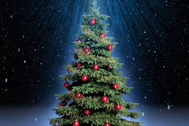 Classic Christmas Tree HD Desktop Wallpapers : Widescreen : High ...