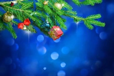Funny Christmas Backgrounds For Android Tablet Motorola Xoom 1280 ...