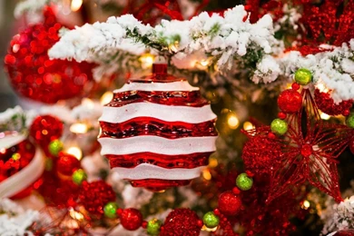 Funny New Year Wallpapers For Tablet PC Motorola Xoom 1280x800 ...