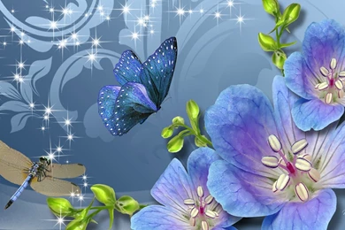 3376) Dragonfly Desktop HD Wallpapers Attachment   WalOps.com