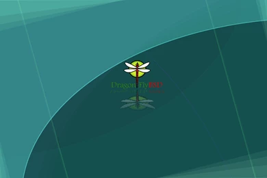 Dragonfly, Wallpaper, Waterfall (