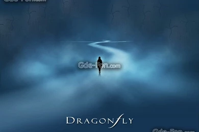 4791_strekoza_or_dragonfly_1024x768_www.Gde Fon.com.jpg