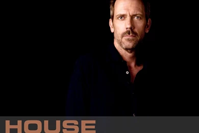Wallpapers House, M.D. Hugh Laurie Movies Image