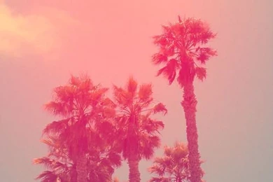 Hipster Phone Backgrounds