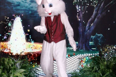 The Backgrounder June 2007 Issue