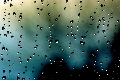 Raindrops Android Wallpapers Widescreen