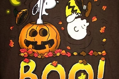 Funny Halloween Wallpapers