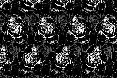 Black Roses iPhone Wallpapers
