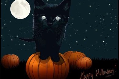 Top 10 HD Halloween 2015 Wallpapers For PC.