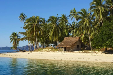 Beach House On Tropical Island HD Wallpapers