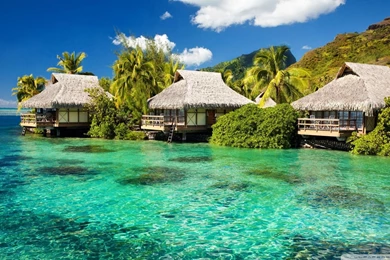 Download Tropical Fish 3 Wallpapers 1920x1080