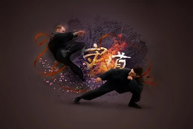 35 Martial Arts Hd Wallpapers Free Of Charge Download   Design Gab