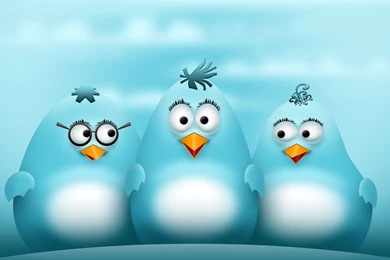 Birds Wallpapers   Digital Art Wallpapers