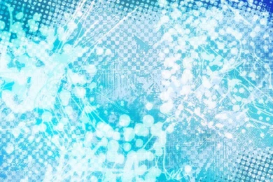 Dolphin Fantasy ~ >> HD Wallpaper, Get It Now!