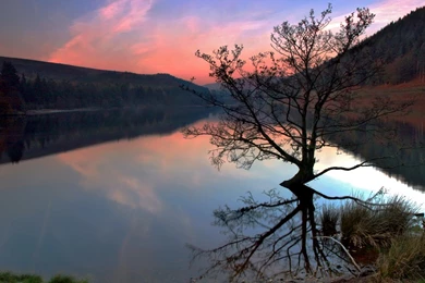 Free Screensavers And Wallpapers   7Screensavers.com