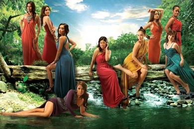 Survivor Philippines: Celebrity Showdown" Posters And Opening ...