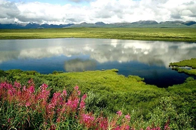 Lakes   Page 2   Nature Wallpapers   Crazy Frankenstein