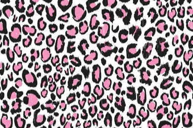 KS2303 Cool Kids Multi Color Leopard Wallpapers By York