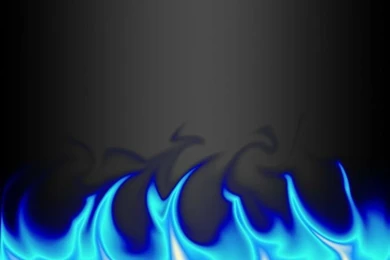 Black And White Rose Blue