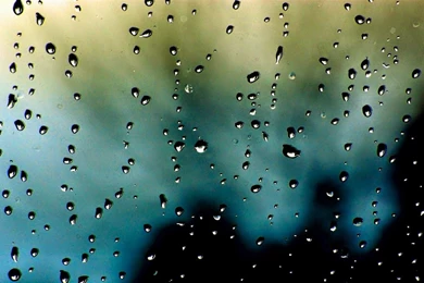 Download Free Live Wallpaper: Download Free Wallpapers For Android ...