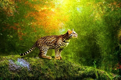 3d Animation Wallpapers   Wallpapers Cave