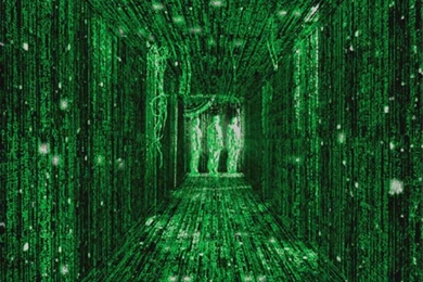 The Matrix Wallpapers Number 1 (1024 X 768 Pixels)