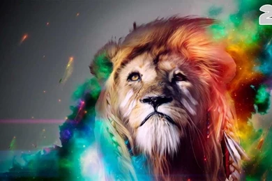 Top 10 Wallpapers : November   YouTube