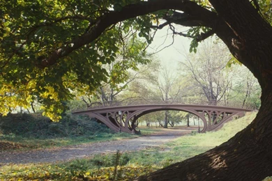 WALLPAPERS : Top 10 In New York