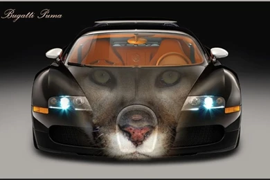 Top 10 Best Bugatti Super Car Wallpapers.   Original Preview   PIC ...