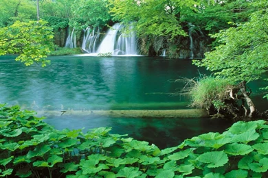 Water fall hd free wallpapers for desktop