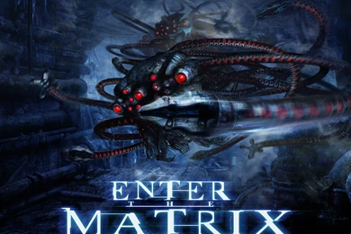 Download Wallpapers 3840x2400 Enter The Matrix, Matrix, Hunter ...