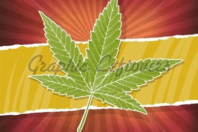 Backgrounds With Cannabis Leaf And Rasta Colors · GL Stock Images