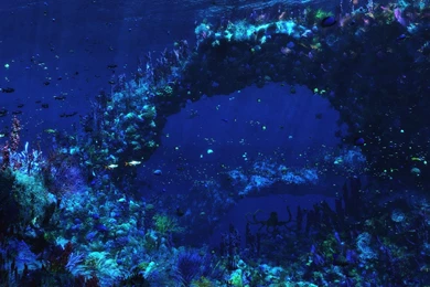 Ocean Computer Wallpapers, Desktop Backgrounds