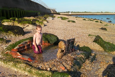 Professor Mungleton: Hot Hot Hot!