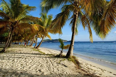 Mustique, St. Vincent And The Grenadines