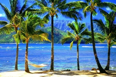 Hawaiian Island View Wallpapers
