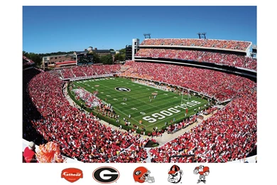 Amazon.com : NCAA Georgia Bulldogs Sanford Stadium Mural Wall ...