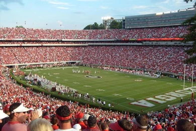 University Of Georgia Football