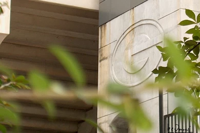 Bulldog Logo :: Georgia Sanford Stadium UGA Logo Georgia Football