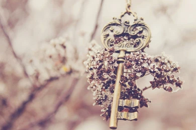 Tumblr Wallpapers Hd Staye008