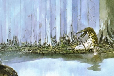 Amano Yoshitaka   1868728