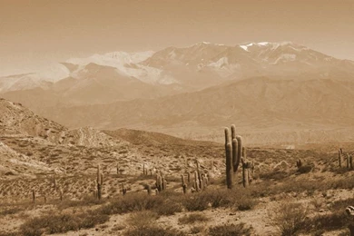 Poster Glog By Mayaorr Belle Starr