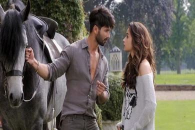 HD Wallpapers Of Shahid Kapoor In Shaandaar Bollywood Hindi Movie ...