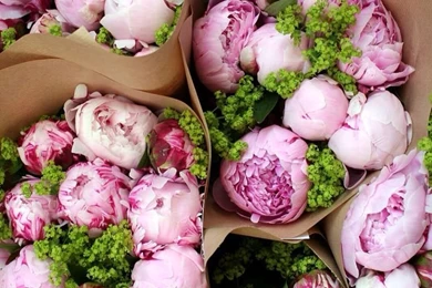 Wallpapers On Pinterest