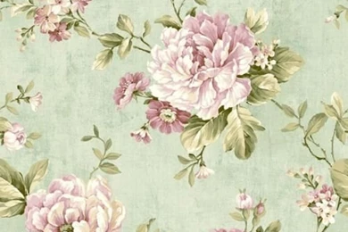 Peony Wallpapers